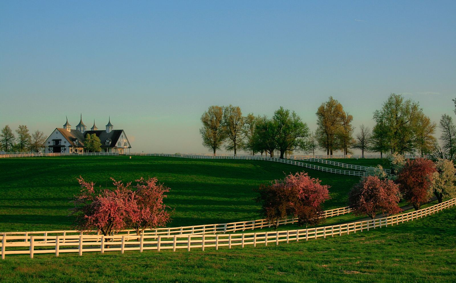 White board fences curving past spring trees to a barn with cupolas